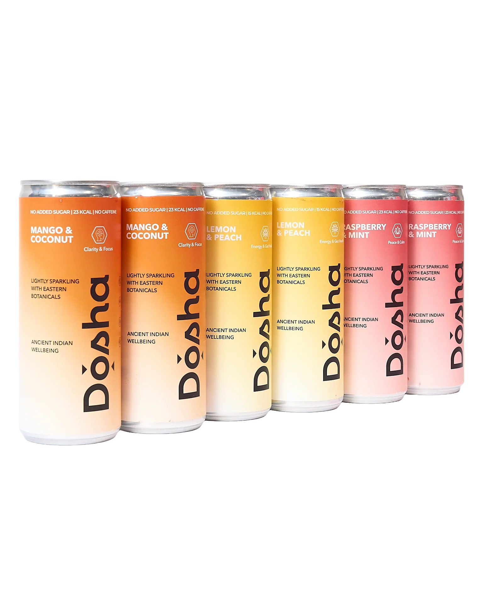 Ancient Indian Wellbeing Soda Intro Pack