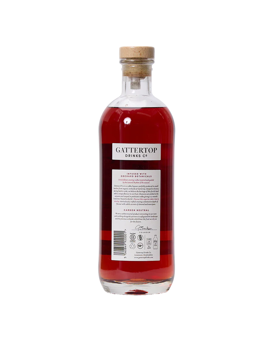 Damson Vodka Liqueur - Image 2