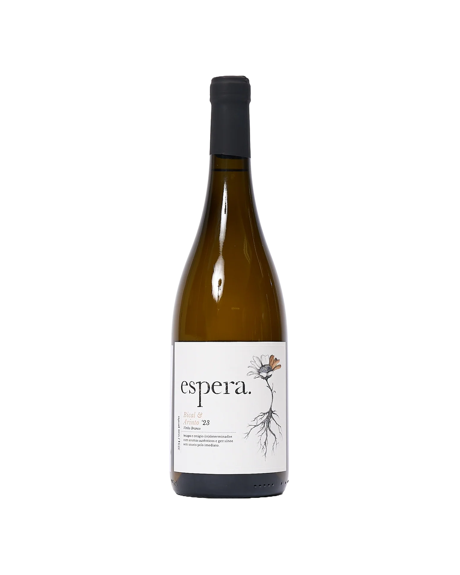 Branco' White Wine, 2023, Portugal