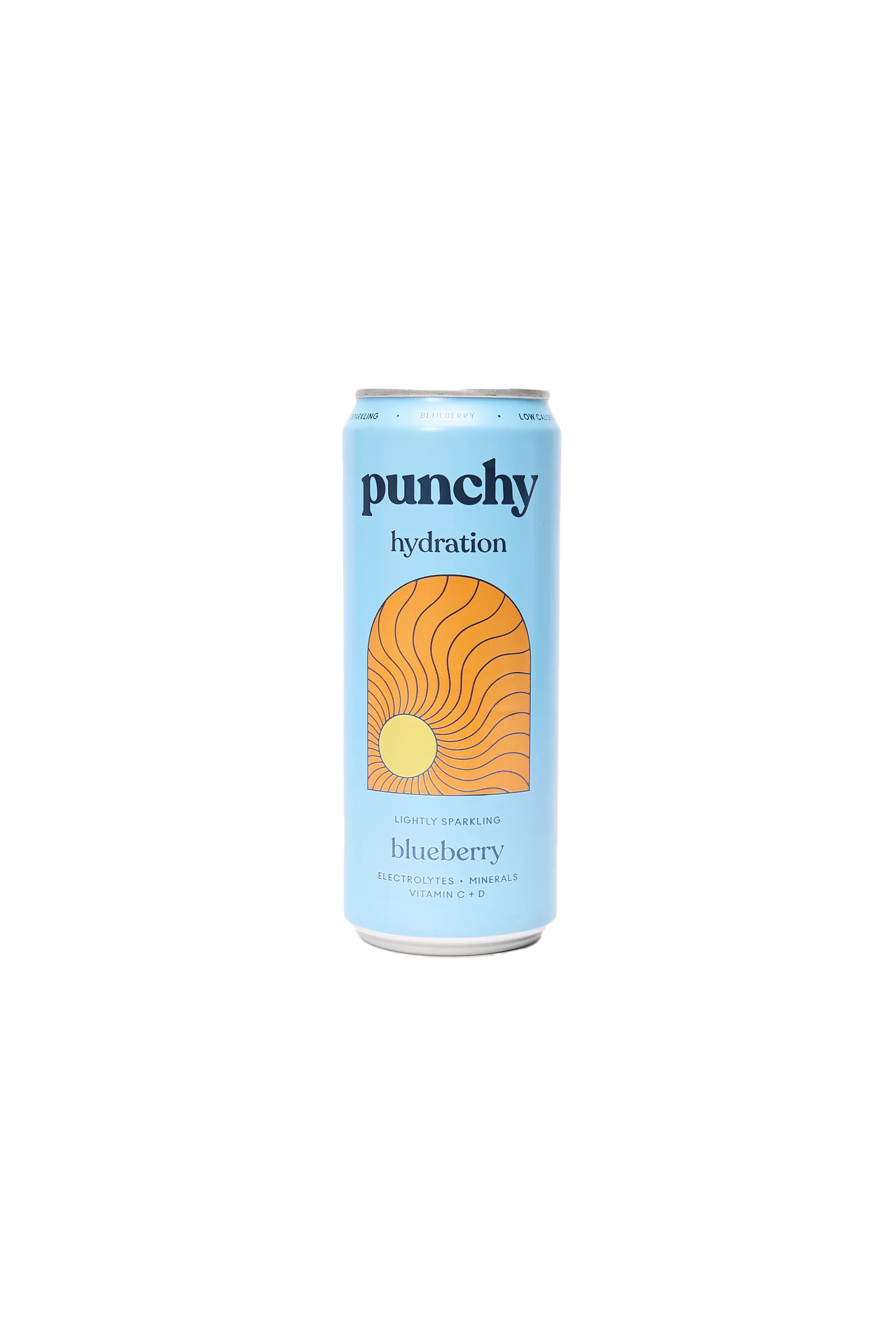 Sparkling Blueberry Hydration Drink