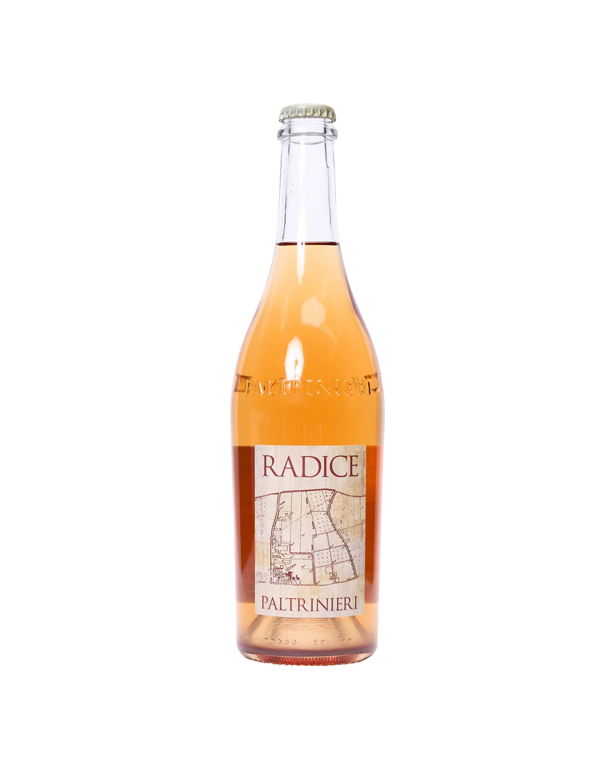Radice