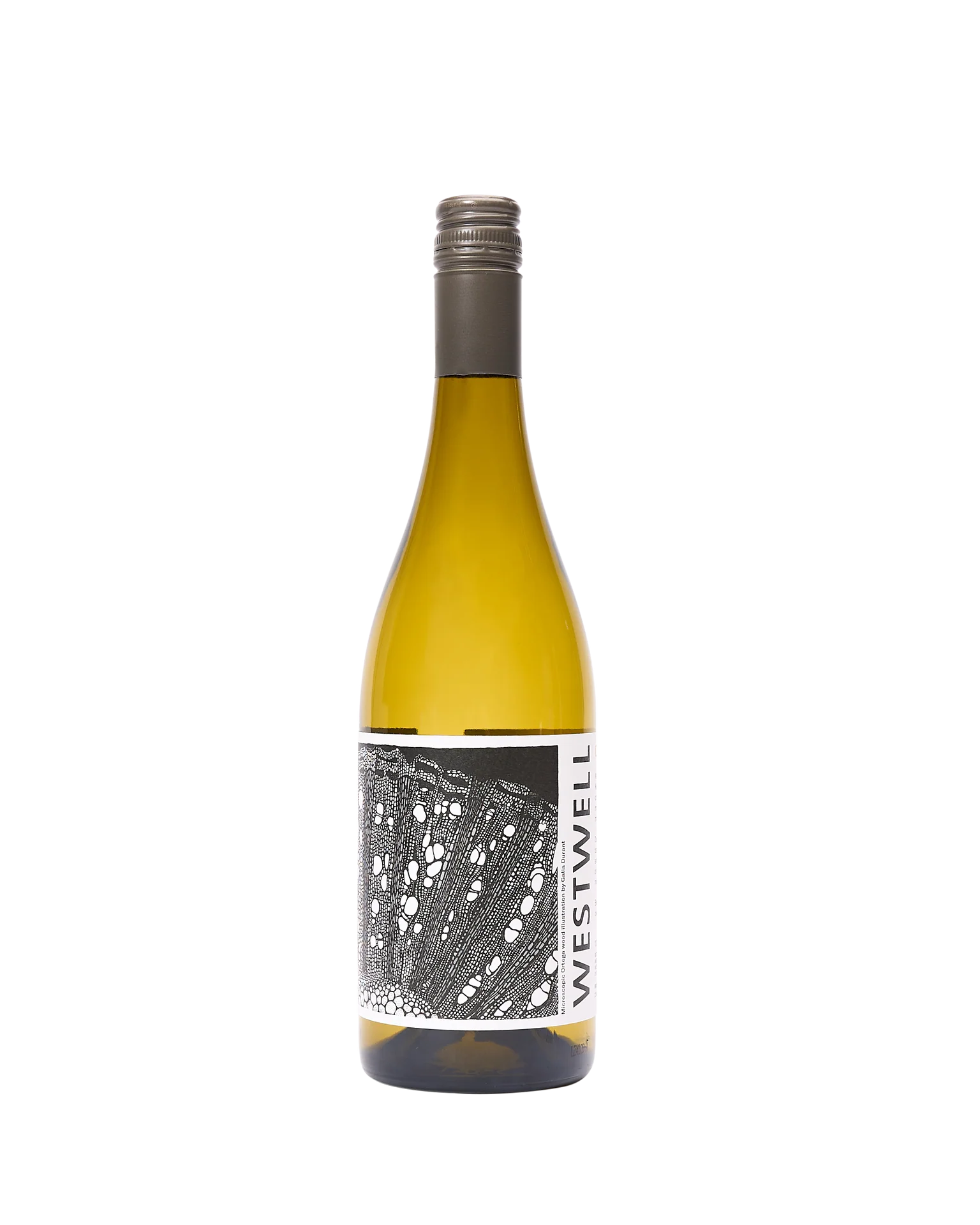 English White Wine, Ortega, 2023